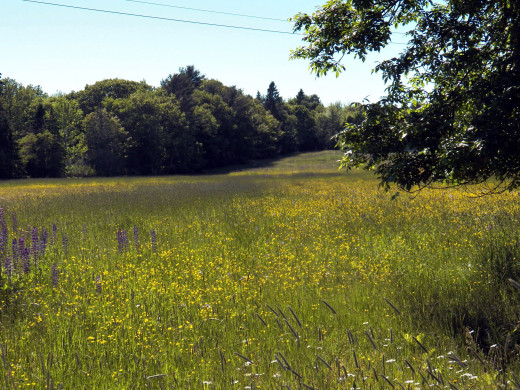 1199756 (a): :1920x1440